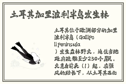 黄瓜视频网在线播放免费观看